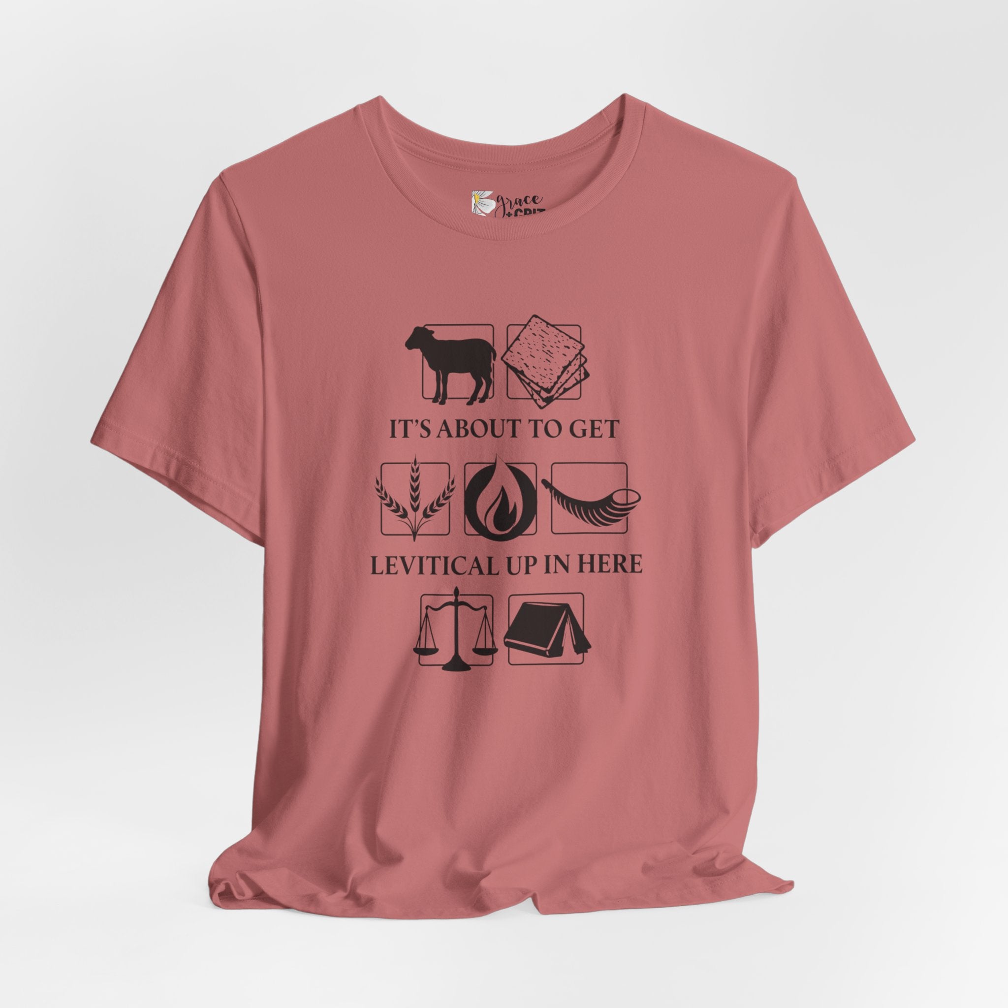 Levitical Up In Here T-Shirt — Funny Bible Symbols Tee