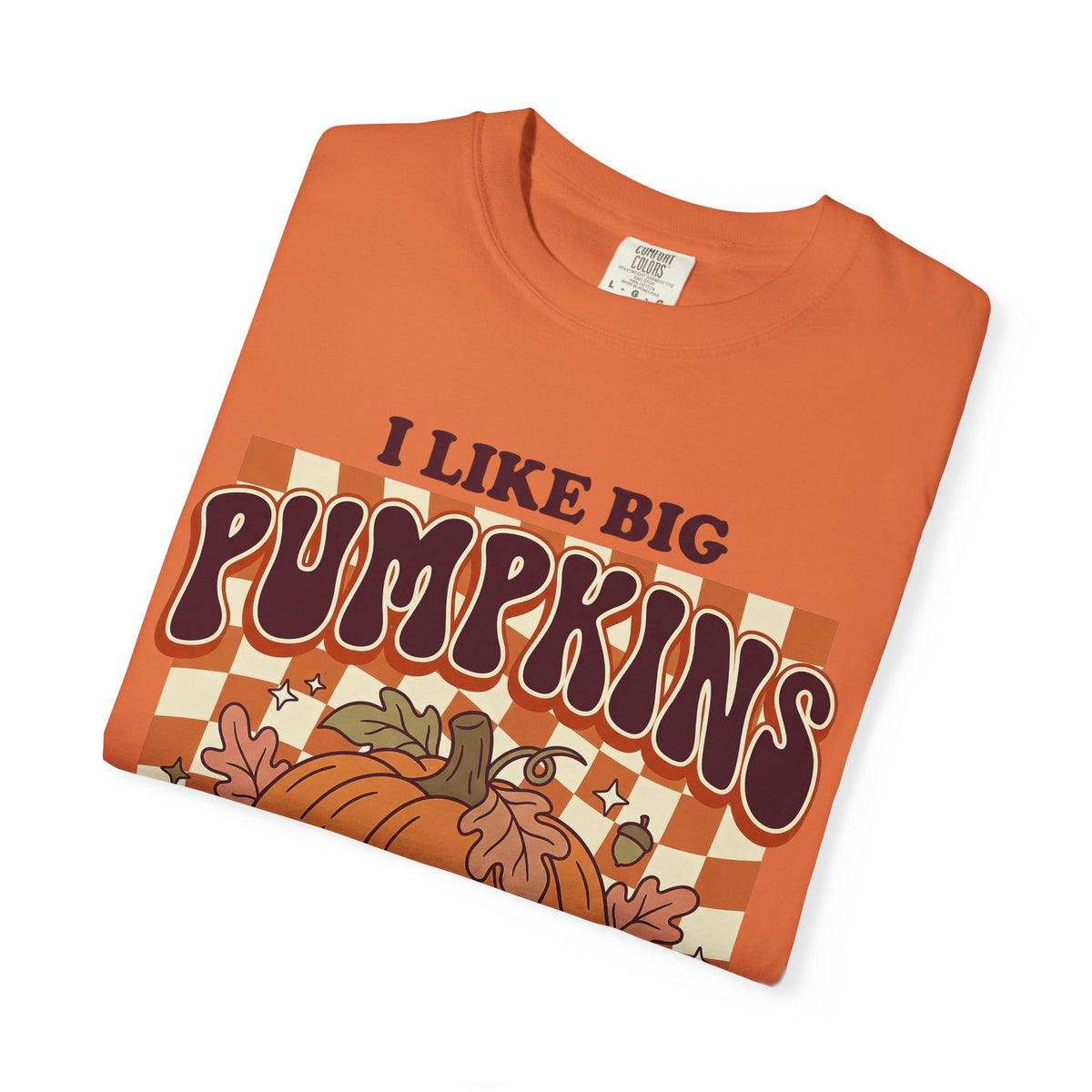 I Like Big Pumpkins Fall Thanksgiving T-Shirt