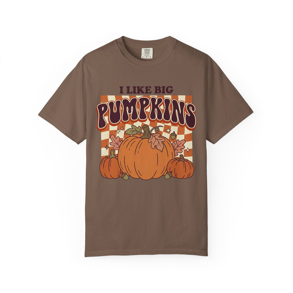 I Like Big Pumpkins Fall Thanksgiving T-Shirt