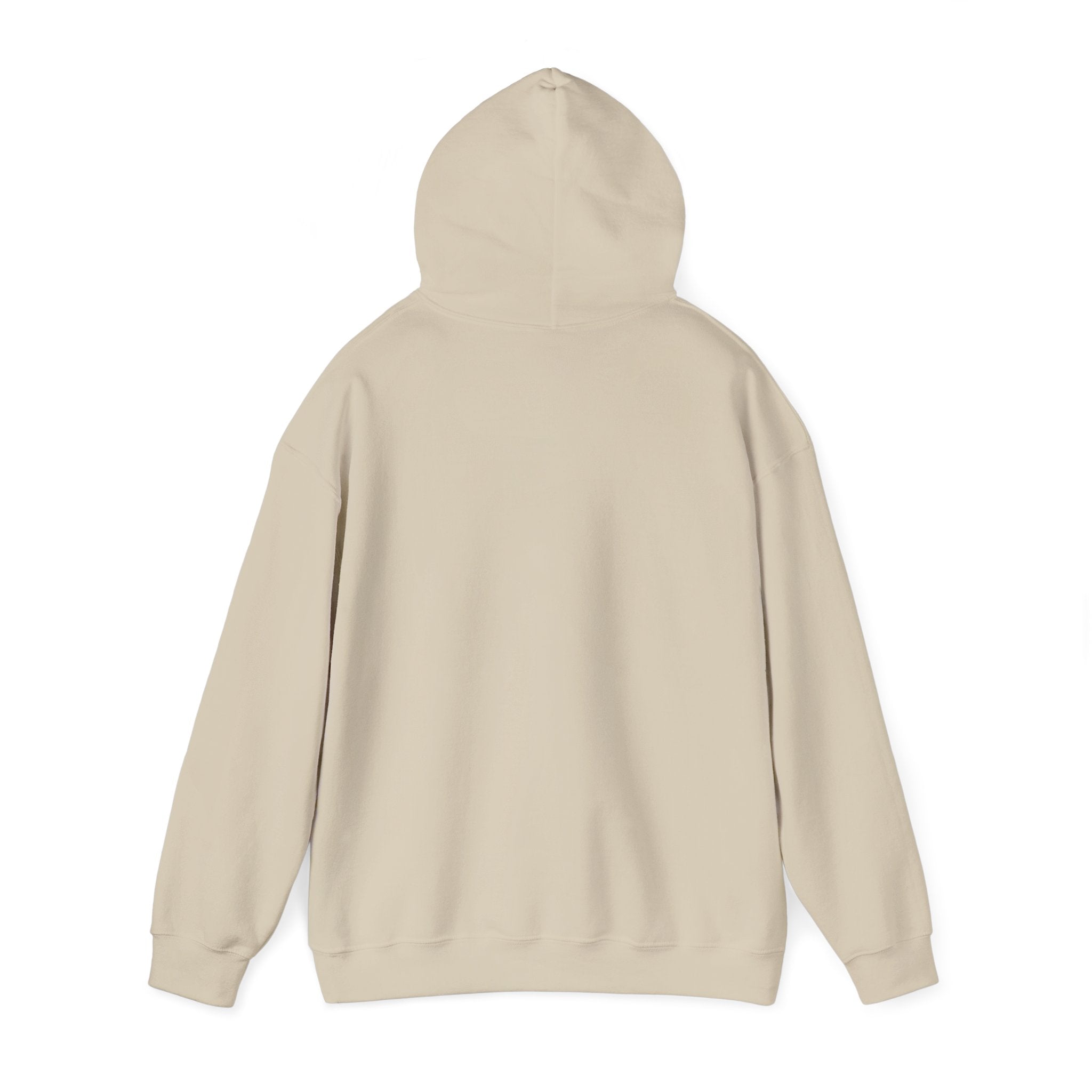 Alien UFO Hoodie — "Did You Really Beam Me Up?" Cute Retro Graphic Sweatshirt