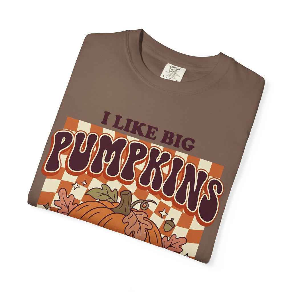 I Like Big Pumpkins Fall Thanksgiving T-Shirt