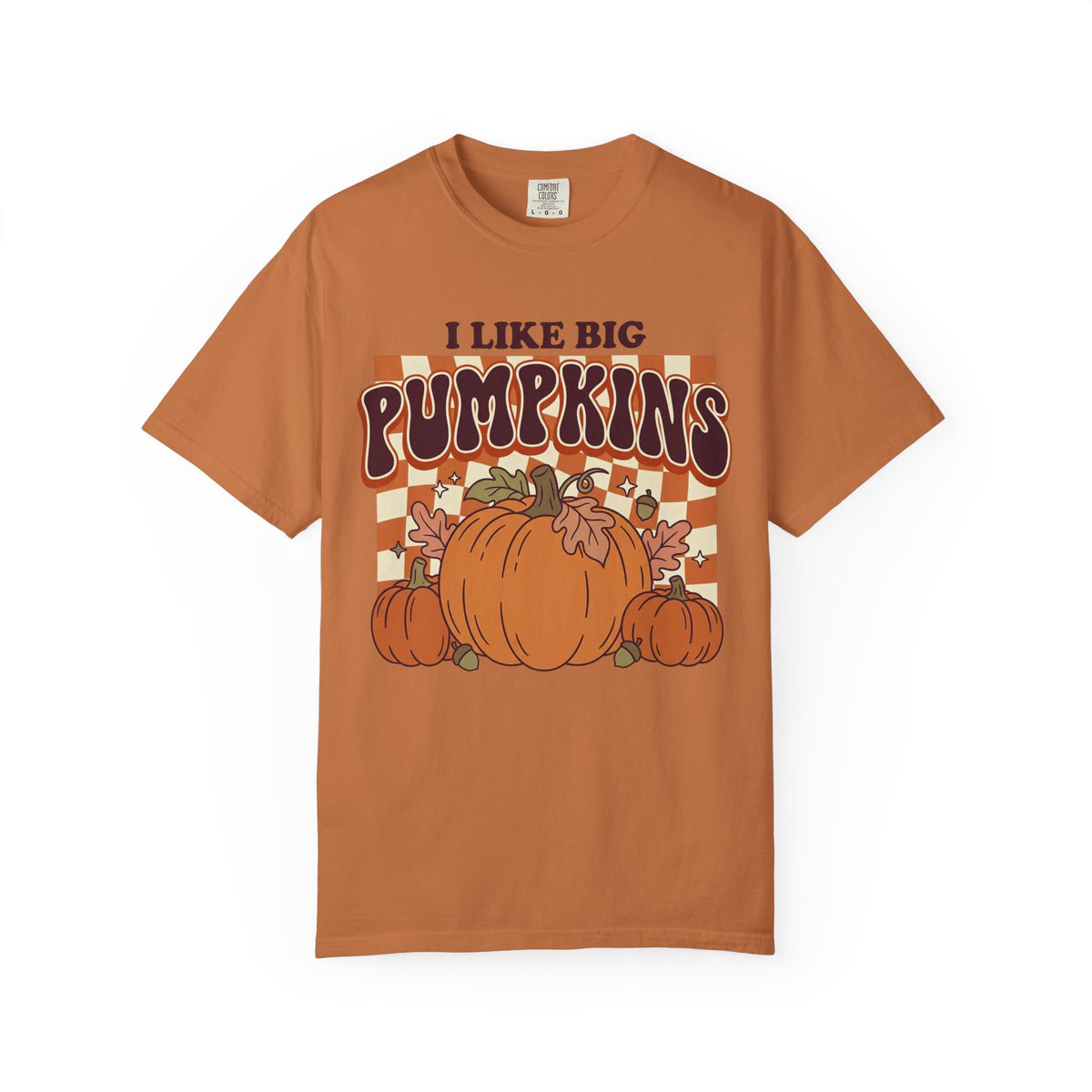 I Like Big Pumpkins Fall Thanksgiving T-Shirt