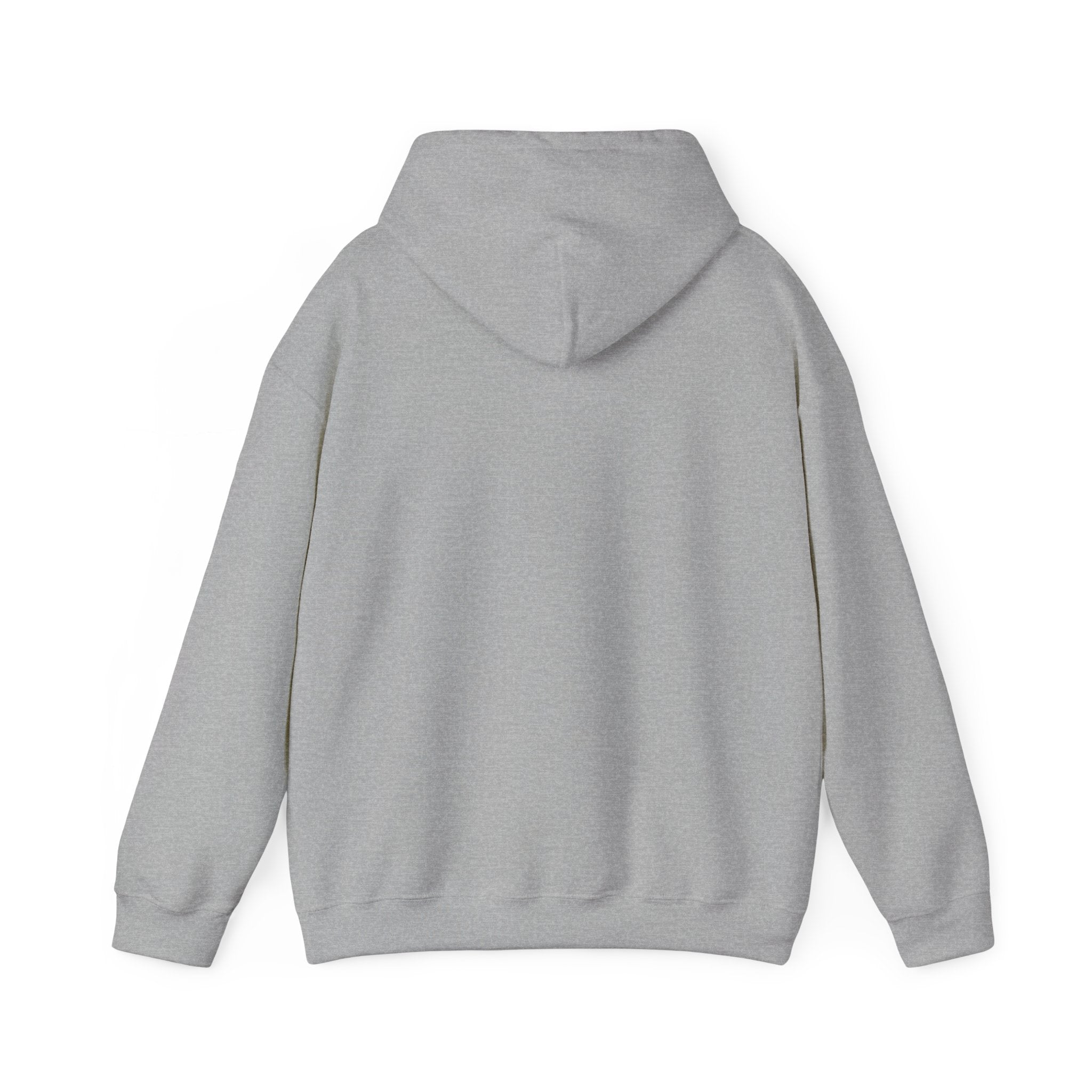Alien UFO Hoodie — "Did You Really Beam Me Up?" Cute Retro Graphic Sweatshirt