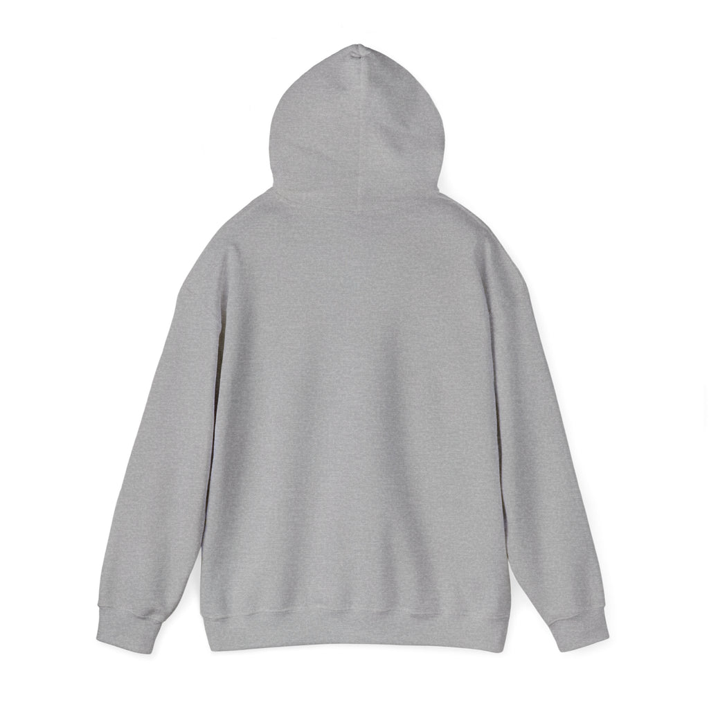 Alien UFO Hoodie — "Did You Really Beam Me Up?" Cute Retro Graphic Sweatshirt