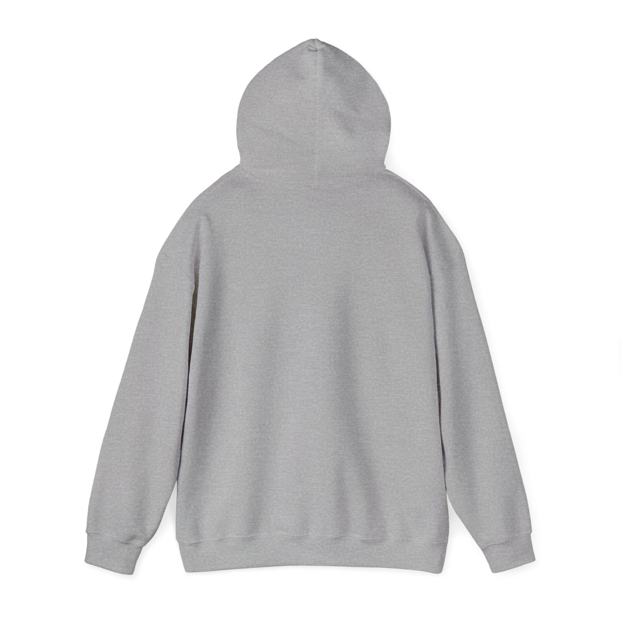 Alien UFO Hoodie — "Did You Really Beam Me Up?" Cute Retro Graphic Sweatshirt